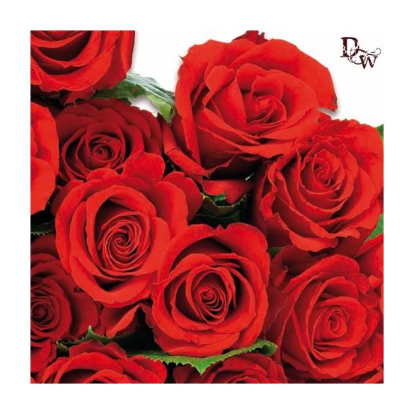 Ambiente szalvéta 33x33cm 20db/csom. Red Roses