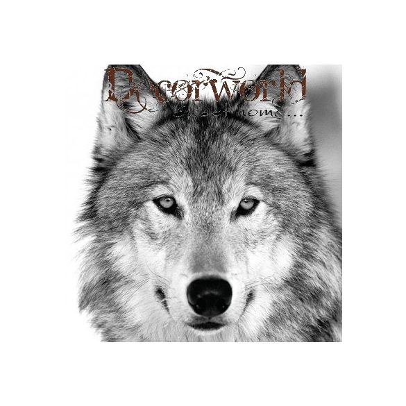 Ambiente szalvéta 33x33cm 20db/csom. wolf