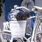 Ambiente szalvéta 33x33cm 20db/csom. Summer Lavender