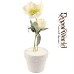 Rózsa havas cserépben kicsi - Krém