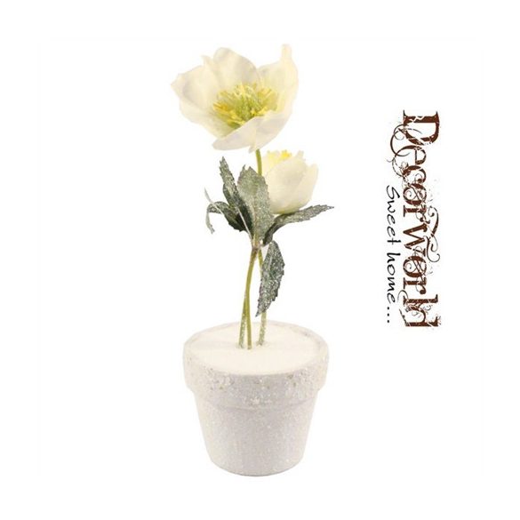 Rózsa havas cserépben kicsi - Krém