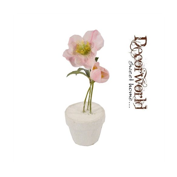 Rózsa havas cserépben kicsi - Rózsaszín