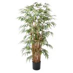 Bamboo deluxe x15 145cm/1040levél (műanyag cserépben)