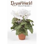 Cyclamen Bush Large Beauty Fehér 11 cm