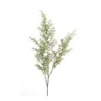 Asparagus spray x 3 60cm zöld