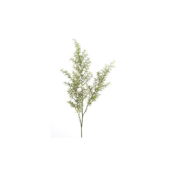 Asparagus spray x 3 60cm zöld