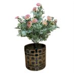 Daisy bush 34cm - Rózsaszín (kaspó nélkül)