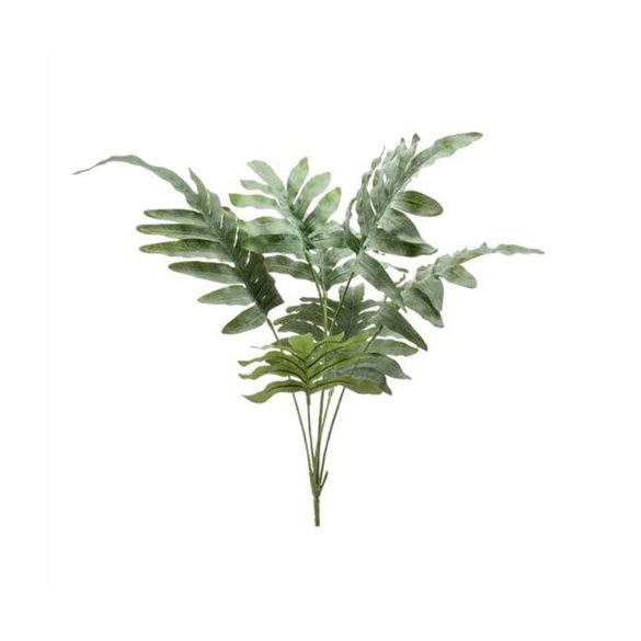 Phlebodium bush 67cm - Zöld/szürke