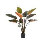 Philodendron 120cm / 10 leveles - Zöld / bordó