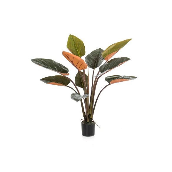 Philodendron 120cm / 10 leveles - Zöld / bordó