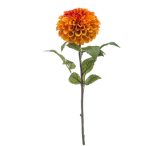Dahlia pompon spray 74cm - Narancs