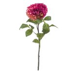 Dahlia pompon spray 74cm - Rózsaszín