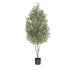 Oliva piramis 170cm / 3243 leveles (műanyag cserépben)