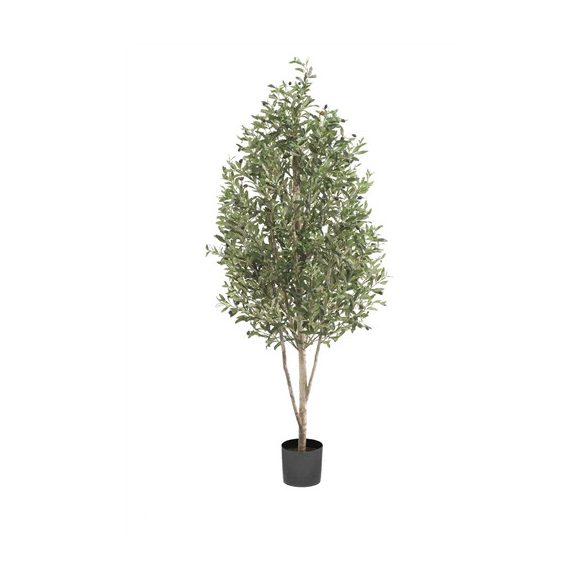 Oliva piramis 170cm / 3243 leveles (műanyag cserépben)