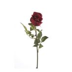 Rose abbeyfield bud 65cm piros