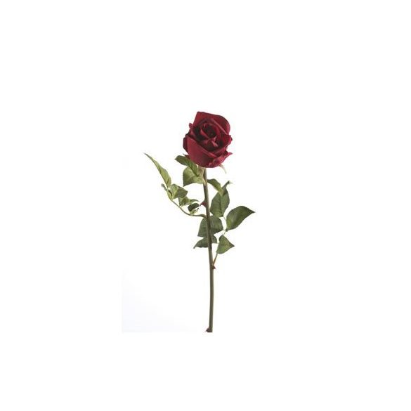 Rose abbeyfield bud 65cm piros