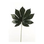 Fatsia levél 55cm dk zöld