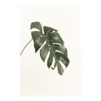 Monstera levél 55cm - sötétzöld