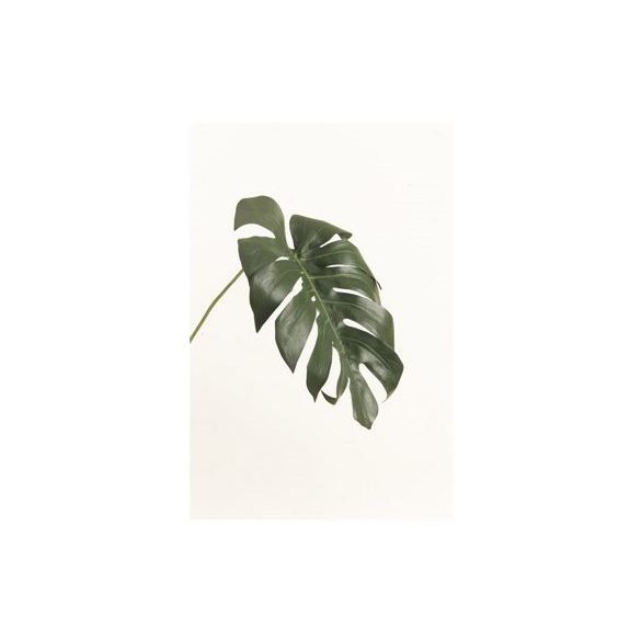 Monstera levél 55cm - sötétzöld