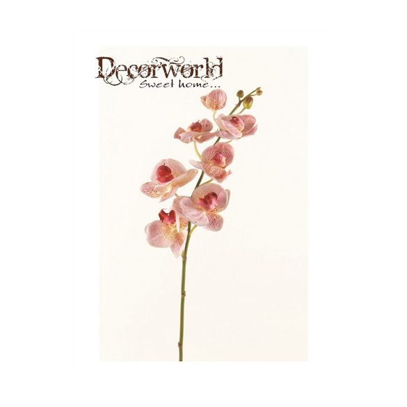 Phalaenopsis ág 75cm - Rózsaszín