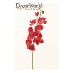 Phalaenopsis ág 75cm - Ciklámen