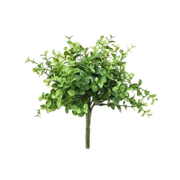 Eucalyptus bokor 20cm - Zöld