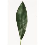 Aspidistra Leaf 75cm