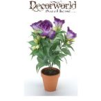 Lizianthusz bokor 35cm lila agyag kaspóban