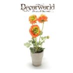   Boglárka bokor 30cm - Narancssárga (10,5cm fehér kaspóban)