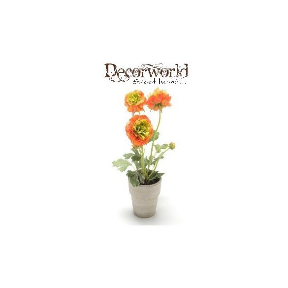 Boglárka bokor 30cm - Narancssárga (10,5cm fehér kaspóban)