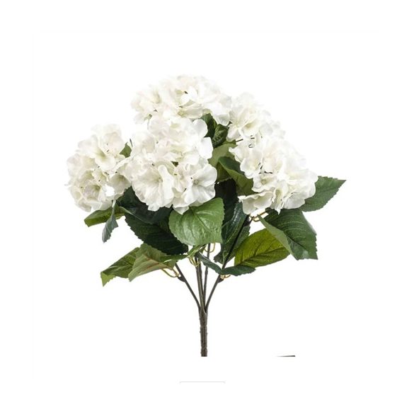 Hortenzia bokor x5 40cm - Krém