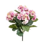 Hortenzia bokor x5 40cm - Rózsaszín