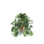 Borostyán mini bokor 20cm/231 levél agyag kaspóban 9cm