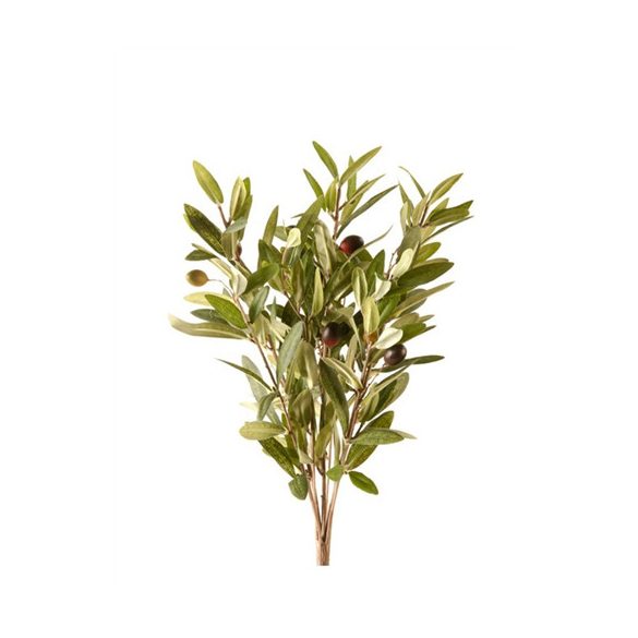 Oliva bokor x9 35cm - zöld