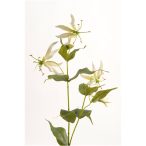 Gloriosa Spray 70 cm - Fehér