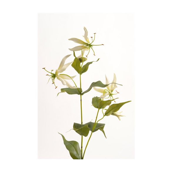 Gloriosa Spray 70 cm - Fehér