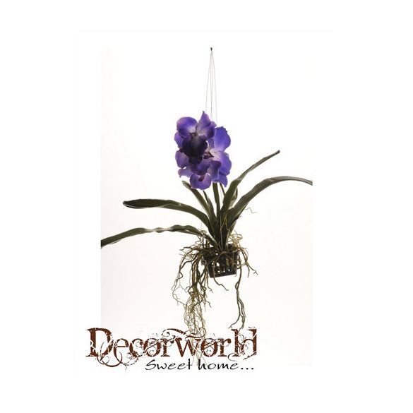 Vanda Orchidea lógó kosárban 50cm - Kék