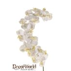 Phalaenopsis ág 130cm fehér