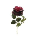 Rose simone 45cm wine