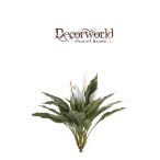 Vitorlavirág bokor 42 cm - Fehér