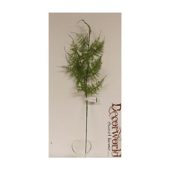 Asparagus ág 80cm