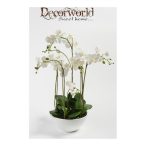 Phalaenopsis x6 80cm fehér, fehér cserépben