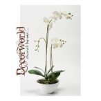 Phalaenopsis Orchidea x2 fehér 70cm fehér tálban