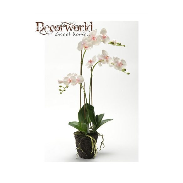 Phalaenopsis orchidea 3 ág 75cm rózsaszín földgömbbel