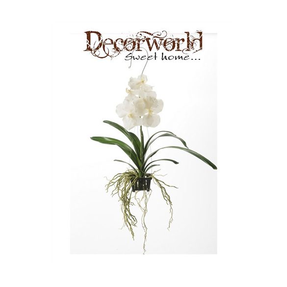 Vanda Orchidea lógó kosárban 50cm - Fehér