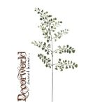 Adianthum szár 65cm