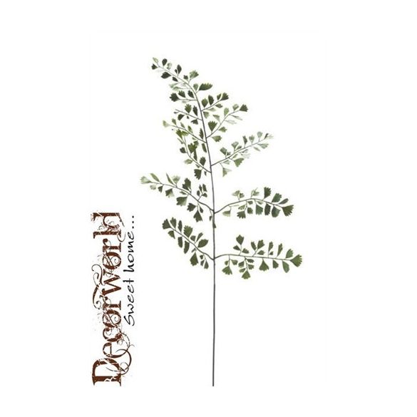 Adianthum szár 65cm