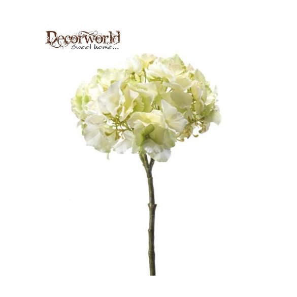 Hortenzia giant ág 50cm krém/zöld