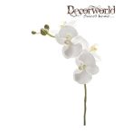 Phalaenopsis ág 60cm fehér