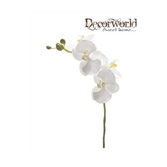 Phalaenopsis ág 60cm fehér